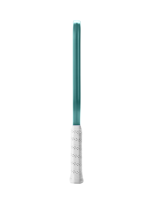 Selkirk LUXX Control Air with InfiniGrit (COPY3644214)